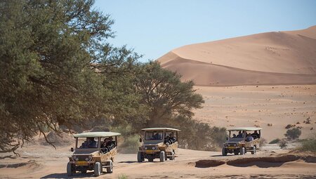 Namibia, Sossusvlei Lodge Excursion, guided nature drive