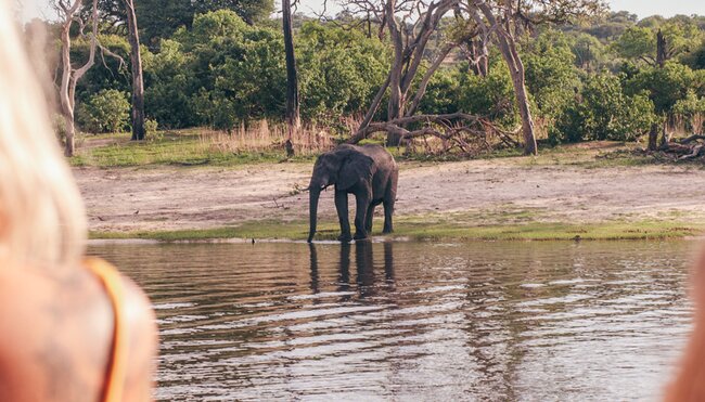 Two travellers look at an elephant across the river in Botswana