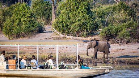 Elephant spotting while on Chobe National Park cruise, Botswana