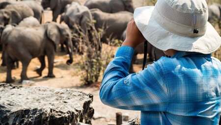 Teenage girl looking out over a herd of elephants in Kruger National Park