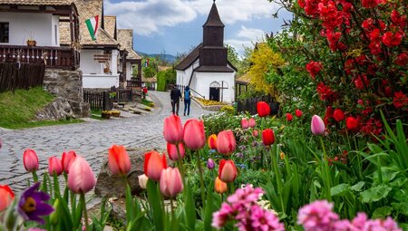 Travellers tour the streets of Holloko village with tulips blooming in spring among the traditional buildings in Slovakia