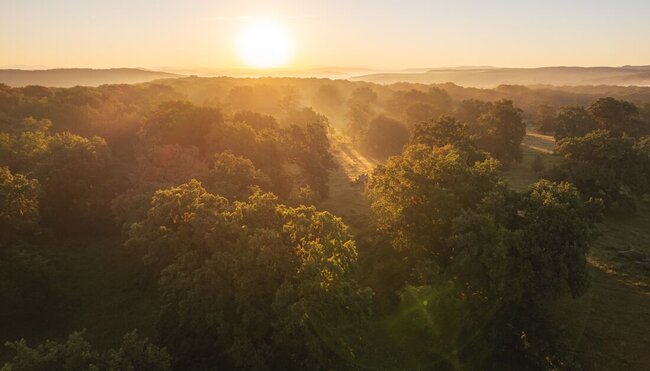 Sunrise over the Transilvanica Trail forest in Romania