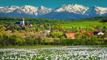A meadow and mountains frame Fagaras village in the Romanian countryside