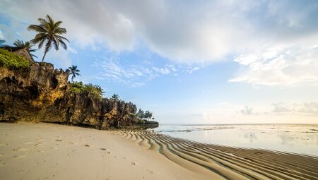 Wave rippled sand on Diani beach at sunset with palms and forest on the edge in Kenya