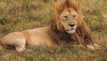 The Maasai Heartlands - 2