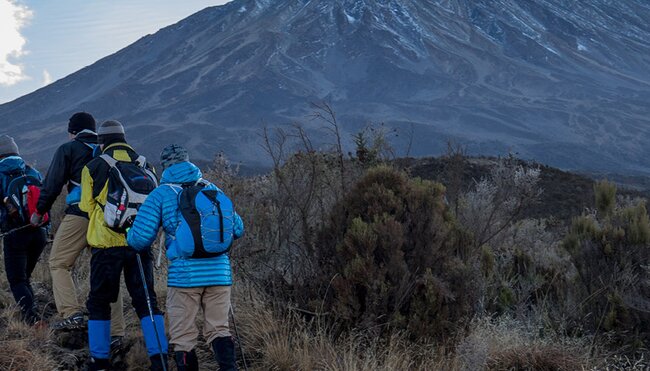 Intrepid Travel Kilimanjaro hiking