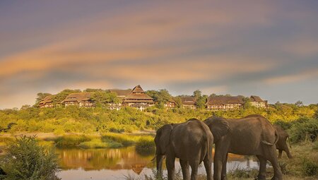 UBPK - Elephants in front of Victoria Falls Safari Lodge