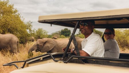 Get up close with Tanzania's wilderness