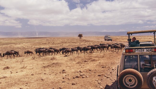 Intrepid Travel Tanzania Serengeti
