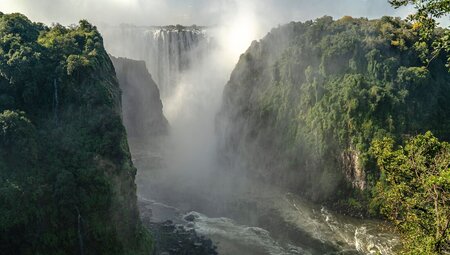 Crashing water creating a mist around thick greenery at Victoria Falls, Zimbabwe