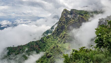 The mists of Usambara Mountains