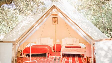Enjoy a glamping experience among orange, lemon and orange trees at ZMFG Eco Farm
