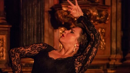 A passionate flamenco performance in Malaga