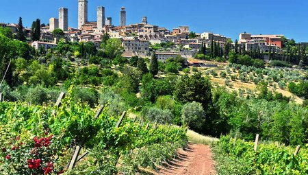 ZMPI - Bright day in the winery and vineyards of San Gimignano town, Tuscany Italy
