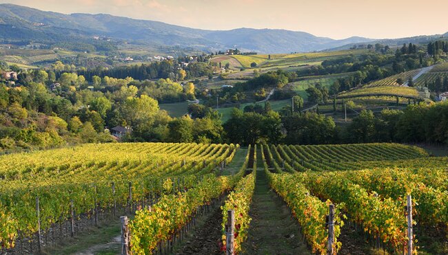 Sunset overlooking the Chianti vineyard region, Tuscany, Italy