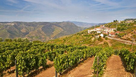 The Duoro Valley vineyards on a bright, sunny day, Portugal