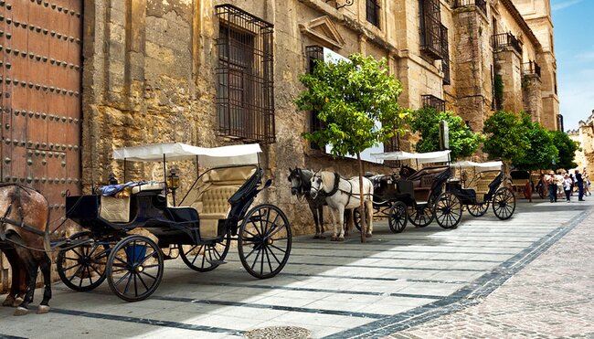 ZMPVC - Horses on the old streets and architecture of Cordoba, Spain