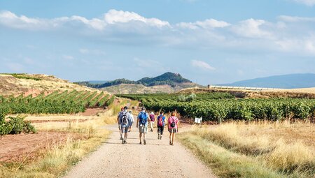 Group hike of pilgrims walking the Camino de Santiago, Spain