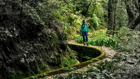 Intrepid traveller in the misty cloud forest of the Levada do Risco on Madeira Island