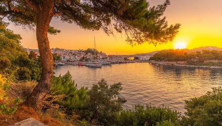 Sunrise over Skiathos island and town framed by an olive tree on the coast in Greece
