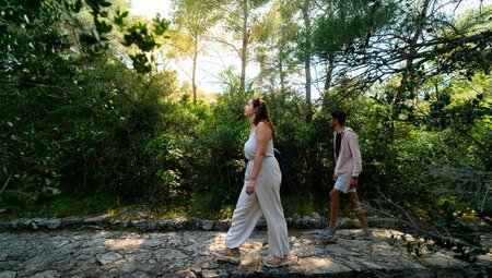 Travellers walking in green forest in Mljet, Croatia