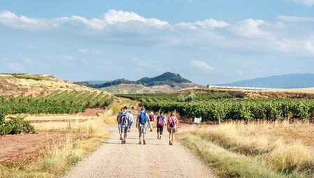 Walk the Camino de Santiago