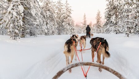 Finnish Lapland Winter Family Holiday