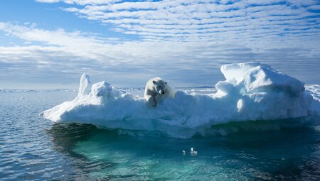 Svalbard Explorer: Best of High Arctic Norway