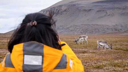 Spitsbergen Highlights: Journey into the Arctic Wilderness