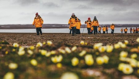 Spitsbergen Highlights: Journey into the Arctic Wilderness