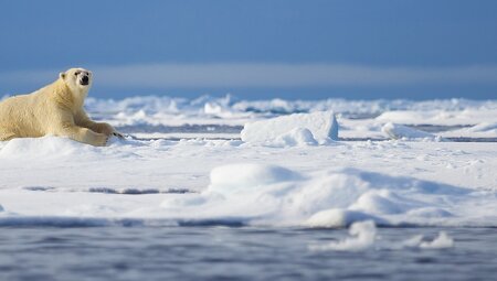 Spitsbergen Photography Adventure