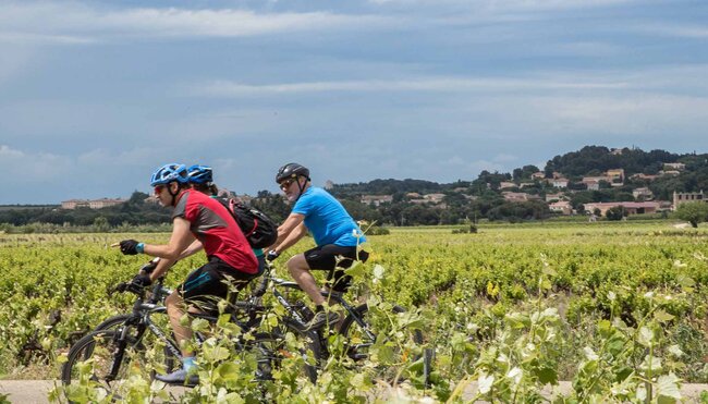 Cycle Provence