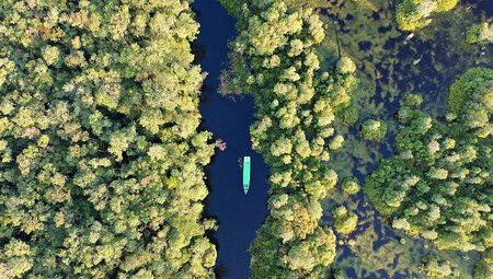 Indonesia Expedition: Orangutans of Kalimantan 