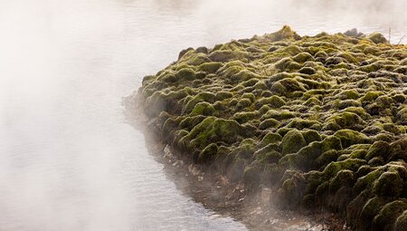 Iceland's Golden Circle in Depth