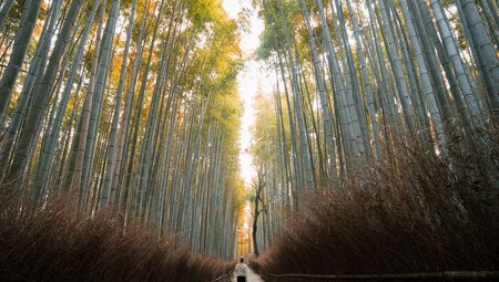 Japan: Land of the Rising Sun