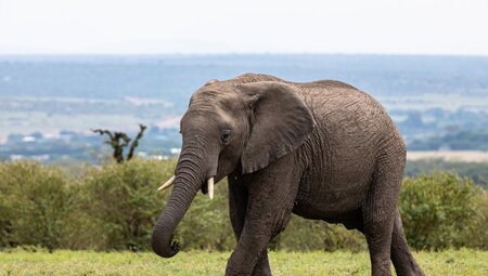 The Masai Heartlands