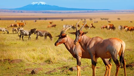 The Masai Heartlands