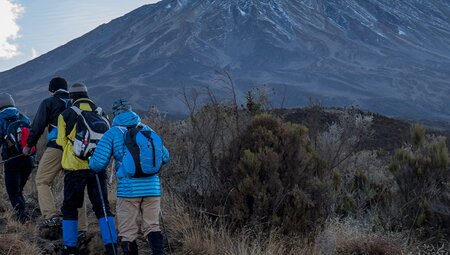 Serengeti & Kilimanjaro