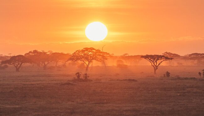 Gorillas & East Africa Safari