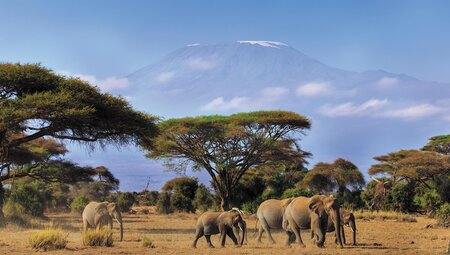 Safari to Kilimanjaro - Machame Route