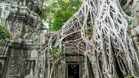 Cambodia Adventure