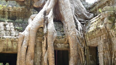 Cambodian Traveller