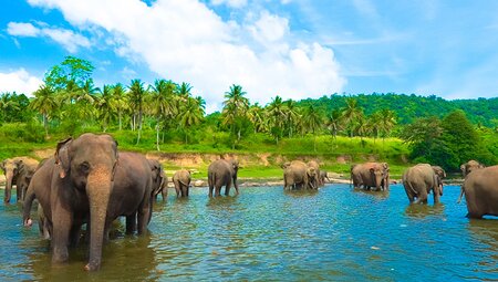 Sri Lanka Family Holiday 