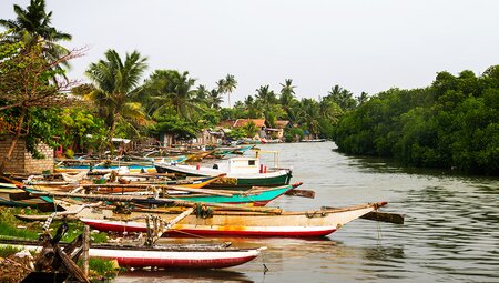 Classic Sri Lanka