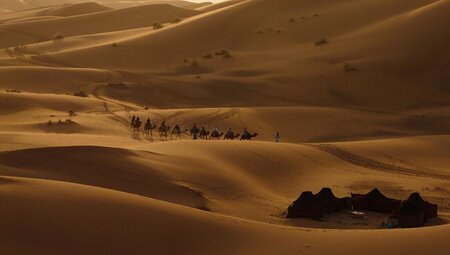 Morocco Uncovered