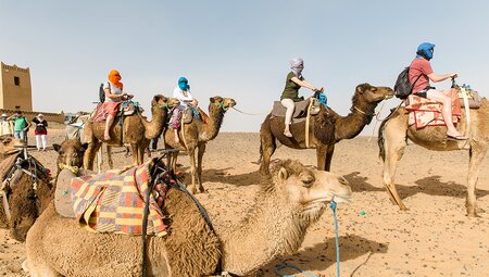 Morocco Uncovered