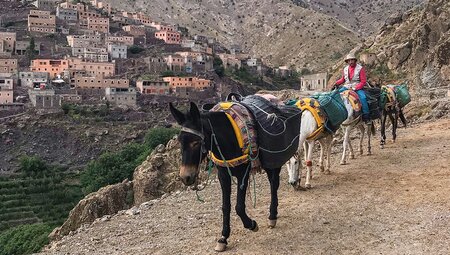 Mount Toubkal Trek