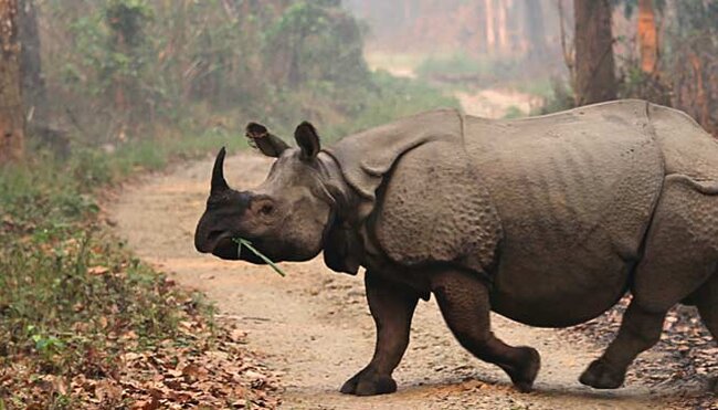 Chitwan National Park Extension