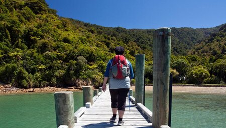 Walk New Zealand's Queen Charlotte Track