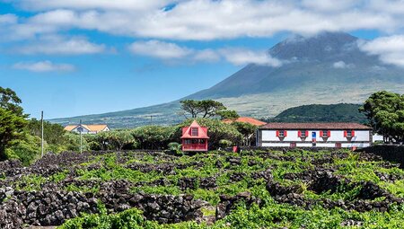 Highlights of the Azores